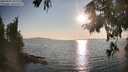 ./images/koeye/fitz-hugh/20250902/fitz-hugh20250902_182011M.jpg