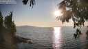 ./images/koeye/fitz-hugh/20250902/fitz-hugh20250902_182510M.jpg