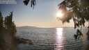 ./images/koeye/fitz-hugh/20250902/fitz-hugh20250902_183511M.jpg