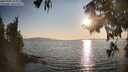 ./images/koeye/fitz-hugh/20250902/fitz-hugh20250902_184011M.jpg