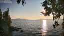 ./images/koeye/fitz-hugh/20250902/fitz-hugh20250902_185011M.jpg