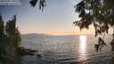 ./images/koeye/fitz-hugh/20250902/fitz-hugh20250902_190509M.jpg