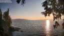 ./images/koeye/fitz-hugh/20250902/fitz-hugh20250902_191508M.jpg