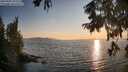 ./images/koeye/fitz-hugh/20250902/fitz-hugh20250902_192007M.jpg