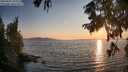 ./images/koeye/fitz-hugh/20250902/fitz-hugh20250902_193009M.jpg