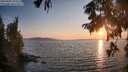./images/koeye/fitz-hugh/20250902/fitz-hugh20250902_193508M.jpg