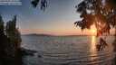 ./images/koeye/fitz-hugh/20250902/fitz-hugh20250902_194508M.jpg