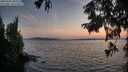 ./images/koeye/fitz-hugh/20250902/fitz-hugh20250902_200509M.jpg