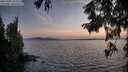 ./images/koeye/fitz-hugh/20250902/fitz-hugh20250902_201508M.jpg