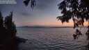 ./images/koeye/fitz-hugh/20250902/fitz-hugh20250902_205009M.jpg