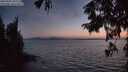 ./images/koeye/fitz-hugh/20250902/fitz-hugh20250902_205507M.jpg