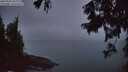 ./images/koeye/fitz-hugh/20250903/fitz-hugh20250903_062011M.jpg