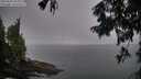 ./images/koeye/fitz-hugh/20250903/fitz-hugh20250903_064011M.jpg
