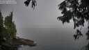 ./images/koeye/fitz-hugh/20250903/fitz-hugh20250903_075012M.jpg