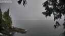 ./images/koeye/fitz-hugh/20250903/fitz-hugh20250903_080509M.jpg