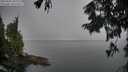 ./images/koeye/fitz-hugh/20250903/fitz-hugh20250903_083012M.jpg
