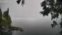 ./images/koeye/fitz-hugh/20250903/fitz-hugh20250903_103510M.jpg