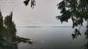 ./images/koeye/fitz-hugh/20250903/fitz-hugh20250903_122510M.jpg