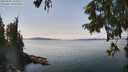 ./images/koeye/fitz-hugh/20250903/fitz-hugh20250903_135011M.jpg