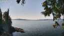 ./images/koeye/fitz-hugh/20250903/fitz-hugh20250903_140511M.jpg