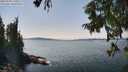 ./images/koeye/fitz-hugh/20250903/fitz-hugh20250903_141009M.jpg