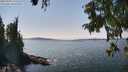 ./images/koeye/fitz-hugh/20250903/fitz-hugh20250903_141512M.jpg