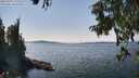 ./images/koeye/fitz-hugh/20250903/fitz-hugh20250903_142510M.jpg