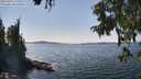 ./images/koeye/fitz-hugh/20250903/fitz-hugh20250903_143011M.jpg