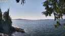 ./images/koeye/fitz-hugh/20250903/fitz-hugh20250903_143510M.jpg