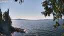 ./images/koeye/fitz-hugh/20250903/fitz-hugh20250903_144509M.jpg