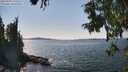 ./images/koeye/fitz-hugh/20250903/fitz-hugh20250903_145510M.jpg