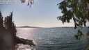./images/koeye/fitz-hugh/20250903/fitz-hugh20250903_154011M.jpg