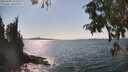 ./images/koeye/fitz-hugh/20250903/fitz-hugh20250903_154511M.jpg