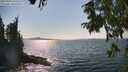 ./images/koeye/fitz-hugh/20250903/fitz-hugh20250903_155510M.jpg