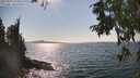 ./images/koeye/fitz-hugh/20250903/fitz-hugh20250903_160012M.jpg