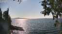 ./images/koeye/fitz-hugh/20250903/fitz-hugh20250903_160510M.jpg
