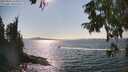 ./images/koeye/fitz-hugh/20250903/fitz-hugh20250903_161011M.jpg