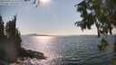 ./images/koeye/fitz-hugh/20250903/fitz-hugh20250903_161511M.jpg