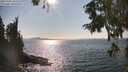 ./images/koeye/fitz-hugh/20250903/fitz-hugh20250903_162510M.jpg
