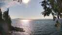 ./images/koeye/fitz-hugh/20250903/fitz-hugh20250903_163012M.jpg