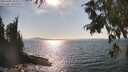 ./images/koeye/fitz-hugh/20250903/fitz-hugh20250903_163510M.jpg