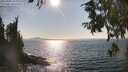 ./images/koeye/fitz-hugh/20250903/fitz-hugh20250903_164010M.jpg