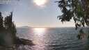 ./images/koeye/fitz-hugh/20250903/fitz-hugh20250903_164511M.jpg