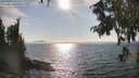 ./images/koeye/fitz-hugh/20250903/fitz-hugh20250903_165510M.jpg