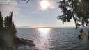 ./images/koeye/fitz-hugh/20250903/fitz-hugh20250903_171011M.jpg