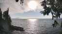 ./images/koeye/fitz-hugh/20250903/fitz-hugh20250903_172508M.jpg