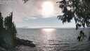 ./images/koeye/fitz-hugh/20250903/fitz-hugh20250903_173011M.jpg
