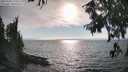 ./images/koeye/fitz-hugh/20250903/fitz-hugh20250903_173510M.jpg