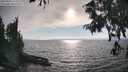 ./images/koeye/fitz-hugh/20250903/fitz-hugh20250903_174010M.jpg