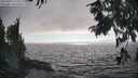 ./images/koeye/fitz-hugh/20250903/fitz-hugh20250903_175011M.jpg